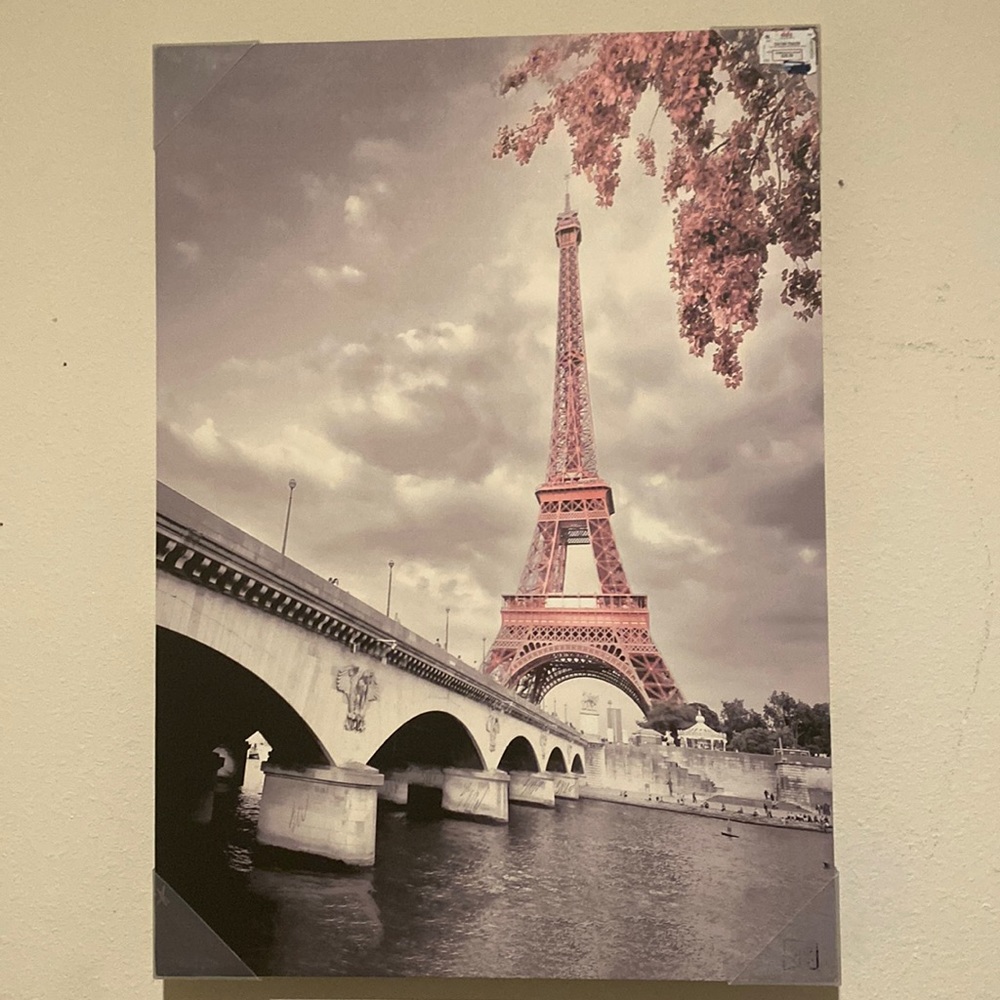 Almost can match any setting with black,white or pink in it.
